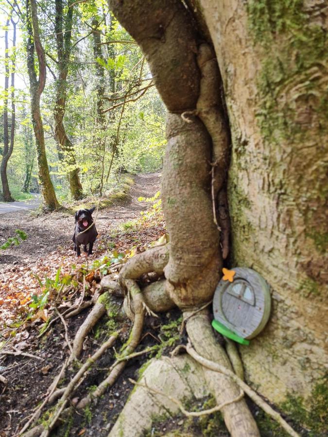 Old Road Cottage Pet Friendly Outdoors Beaches Neath Exteriör bild